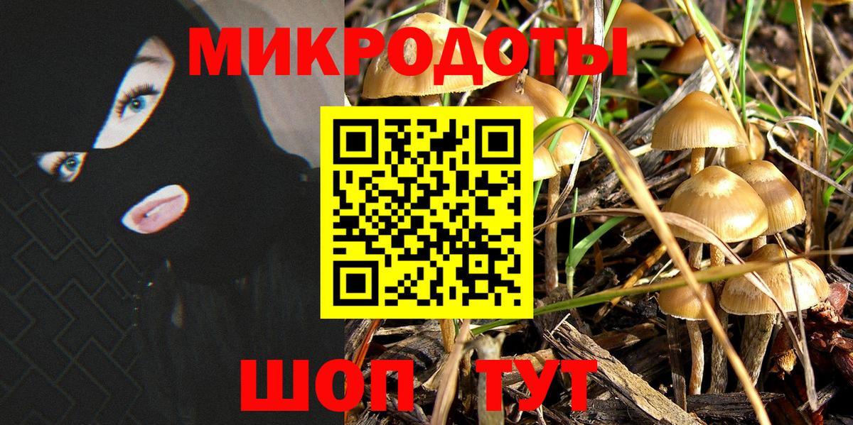 Галлюциногенные грибы прущие грибы Шахты